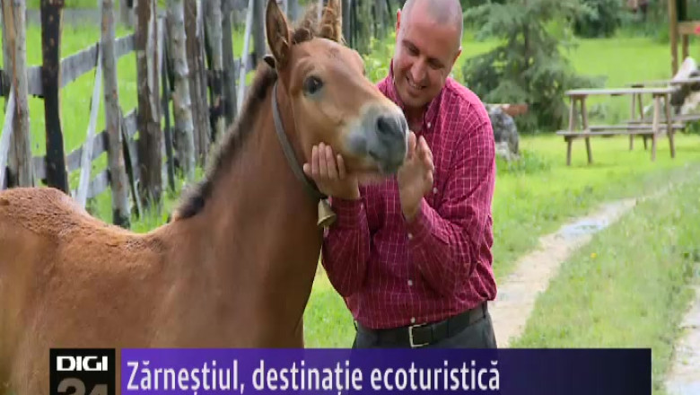  Zarnestiul, destinatie ecoturistica Imagine