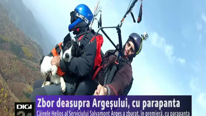 Zbor deasupra Argesului. Un caine a zburat, in premiera, cu parapanta Imagine