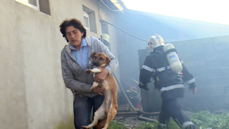 Zeci de caini morti in incendiu Imagine