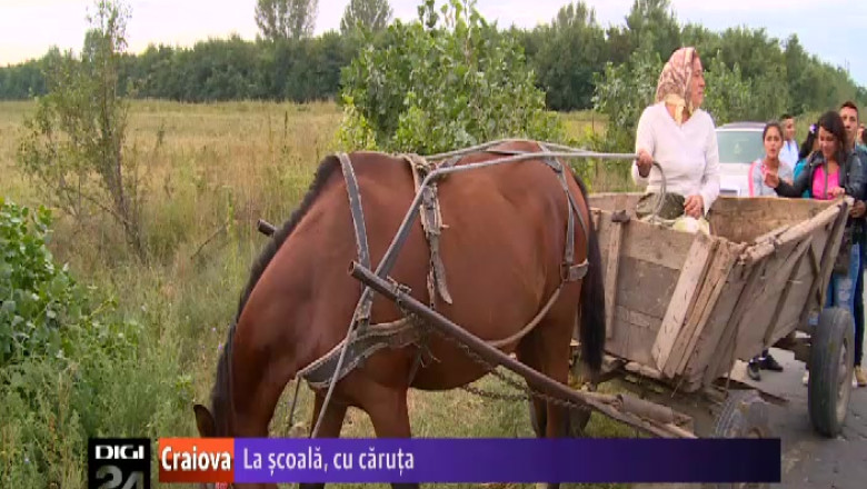 Zeci de elevi din satul doljean Ocolna se duc la scoala cu caruta Imagine
