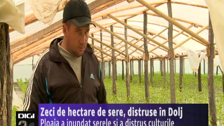 Zeci de hectare de sere, distruse in Dolj. Ploaia a inundat serele si a distrus culturile Imagine