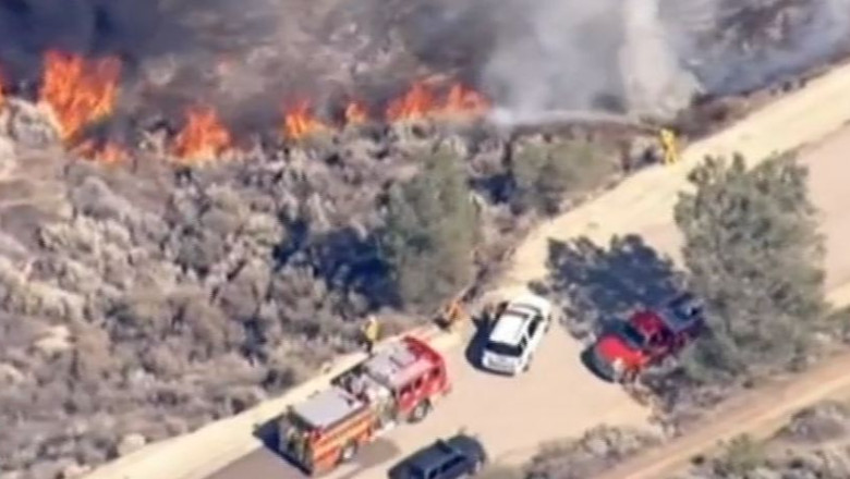 Zeci de hectare de teren cu vegetatie au ars in apropiere de Los Angeles Imagine