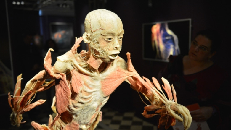 Zeci de mii de vizitatori la Noaptea Muzeelor 2013 in Romania Imagine