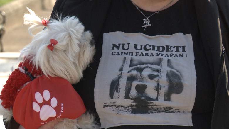 Zeci de oradeni au manifestat contra uciderii cainilor fara stapan Imagine