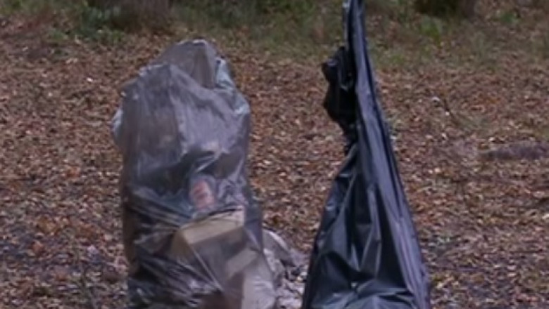 Zi de curatenie generala in Romania. Mii de voluntari vor aduna gunoaie in mai multe orase Imagine