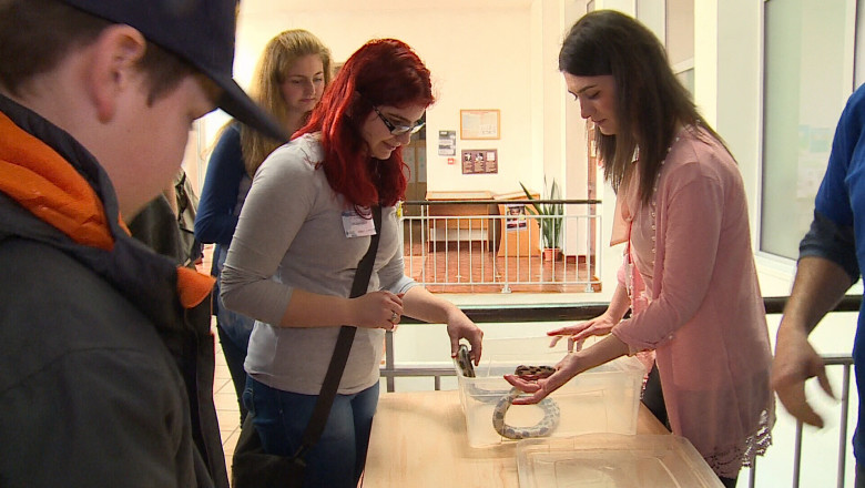 Zi dedicata prieteniei dintre oameni si animale Imagine