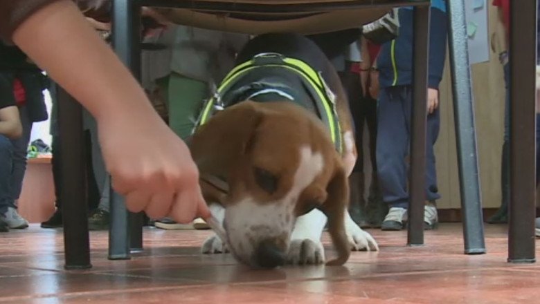 Ziua Interactiunii Om-Animal Imagine