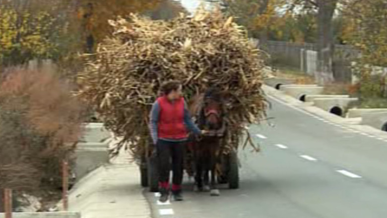 Ziua internationala a femeilor din mediul rural, sarbatorita prin munca Imagine