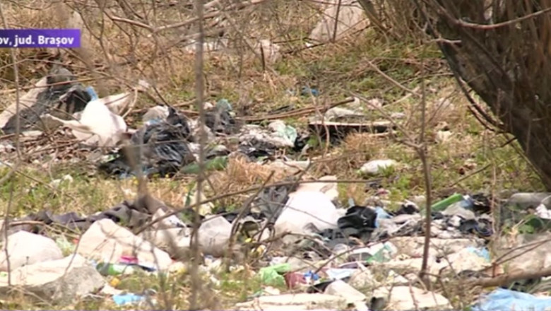 Zona Cheile Rasnoavei, sufocata de gunoaie Imagine