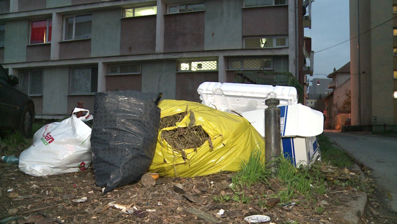 Zonele „pubela" ale Timisoarei. Nici macar amenzile Politiei Locale nu sperie pe nimeni Imagine