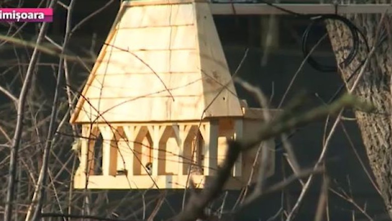 Zoo, la distanta de un click. Pasarile de la Muzeul Satului Banatean pot fi urmarite online 24 de ore din 24 Imagine